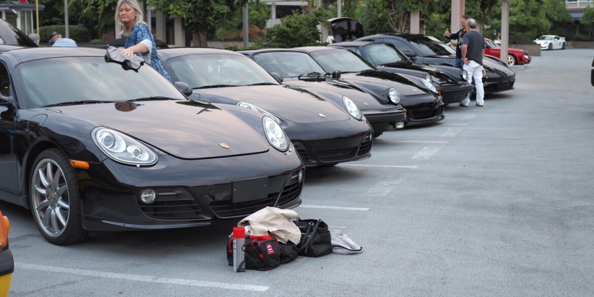 Porsche cars at All Porsche Grand Display